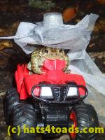 /home//u458753944/public_html/sourcegallery//////////McKaig Nature Center/2020-10-11/PA110740.JPG